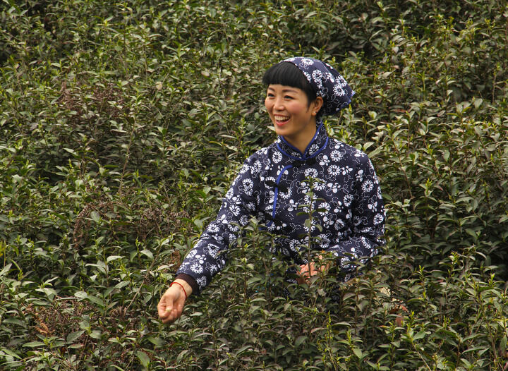春满楼直播 热门2